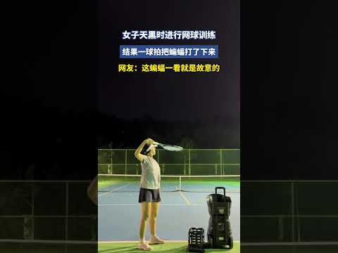 女子天黑时进行网球训练，结果一球拍把蝙蝠打了下来，网友：这蝙蝠一看就是故意的