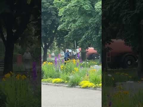 У Жовтих Водах комунальники поливають клумби. Ви тільки подивіться, які яскраві квіти