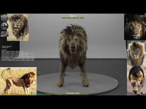 Beast: oners and lions are a pretty crazy mix