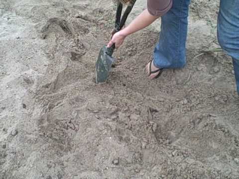 download lagu mp3 mp4 Ghreg On Earth T3 2009 UPE, download mp3 Ghreg On Earth T3 2009 UPE free download, download mp3 Ghreg On Earth T3 2009 UPE