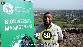 Your City in Sixty - 10 October 2025