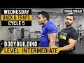 V SHAPE BACK & Traps Workout! Cycle 5 (Hindi / Punjabi)