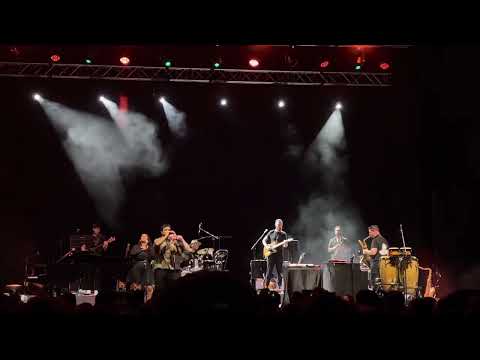 Jamie Culum - Sant Feliu Porta Ferrada 2022