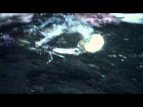 Bloodborne:The Old Hunters odc.6 Lok.Chata Latarnii Morskiej i Wybrzeże