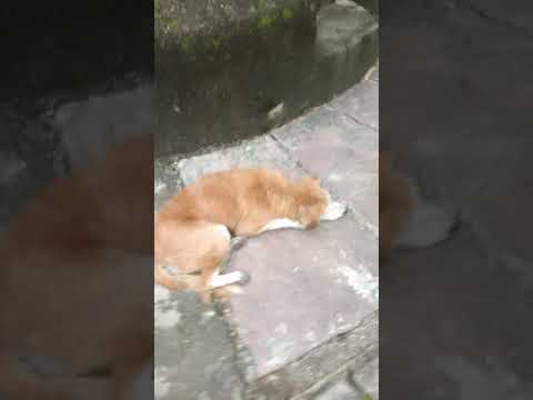 8 सितंबर 2018