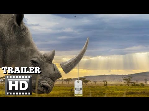 Trophy Trailer #1 Trailer Hunting, Documentary, Wild life Movie(2017)