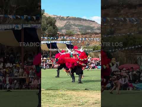 Danza Soltera Suway #cusco #espinar #solterasuway #cultura #tradición