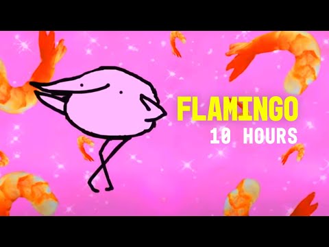 download lagu mp3 mp4 Flamingo Audio, download lagu Flamingo Audio gratis, unduh video klip Flamingo Audio