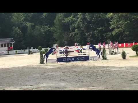 2007 Holsteiner Gelding by Cormint/ Cascavelle