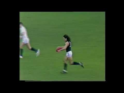 1986 Round 7 - Carlton Highlights - Carlton Blues vs Collingwood Magpies at Victoria Park
