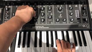 Moog Grandmother Dark - What To Know & Where To Buy | Equipboard