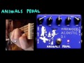 Animals Pedal Firewood Acoustic DI