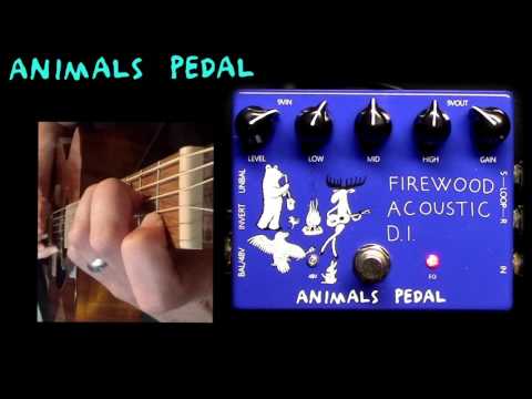 Animals Pedal Firewood Acoustic DI Effects Pedal image 4