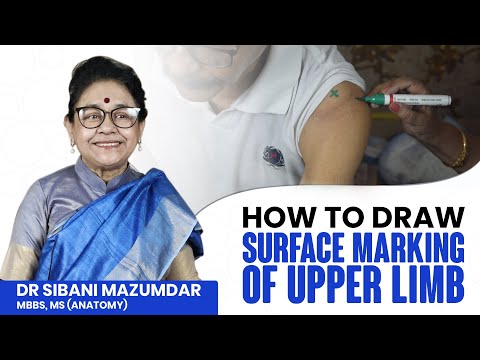 Anatomy Made Easy: Surface Marking of the Upper Limb | #medicalstudents
