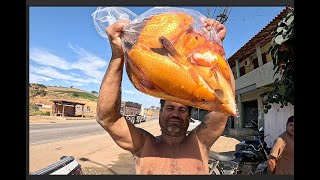 TROUXE ESSAS CARPAS SEM OXIGÊNIO DA ROÇA DANDO UM KG DE PESO CADA UMA.