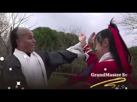 Wing Chun Kung Fu, by Yiting Wu and Grandmaster Senna