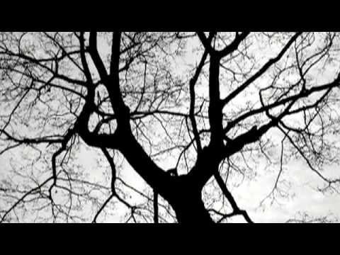 LOITS - Furor Aesticus (LOITS 10 // Official Backdrop Video)