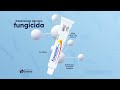 Cuidar De Tu Cuerpo Es Prioridad Fungiderm Crema Tópica Laboratorio Solaris