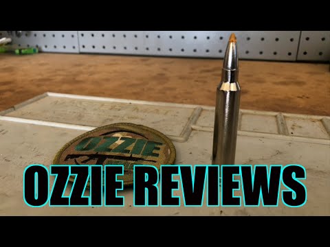 Beginner Basics #24 The 300 Winchester Magnum Caliber (pros/cons)