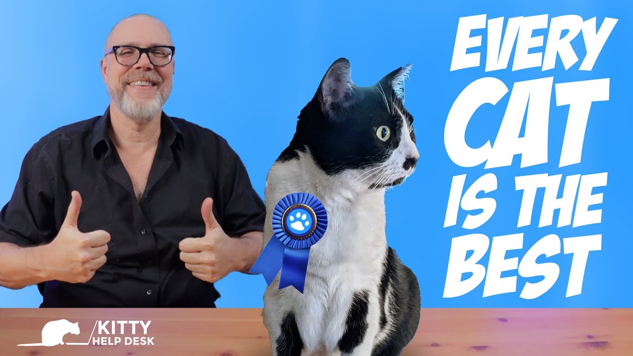 Does Your Cat Have the Best Personality?