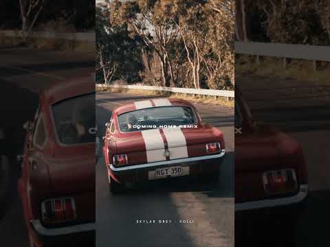 Skylar Grey - Coming Home [Solli Remix]