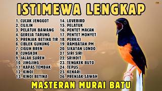 Download lagu 🔴 LENGKAP MASTERAN PANJANG‼️ FULL ISIAN MURAI BATU GACOR mp3 Download lagu 🔴 LENGKAP MASTERAN PANJANG‼️ FULL ISIAN MURAI BATU GACOR mp3