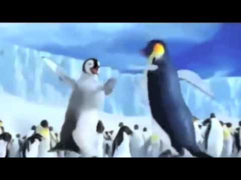 Happy Birthday Shammy