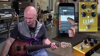 Video thumbnail for Source Audio LA Lady (OD/Dist) - IN DEPTH Review by EytschPi42