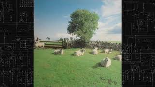 The KLF - Chill Out [Full Album]