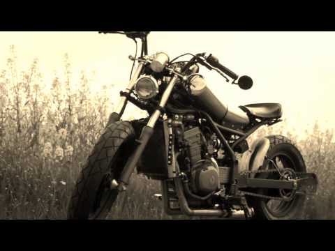 KAWASAKI EL 250 custom -カワサキ　エリミネーター250