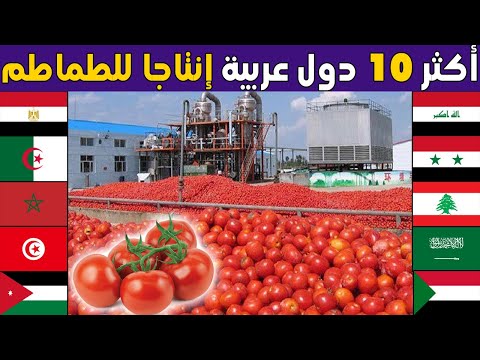 , title : 'من هي اكبر دولة عربية في إنتاج للطماطم ؟ تصنيف جدييد لأكبر 10 محاصيل طماطم عند الدول العربية 2023'