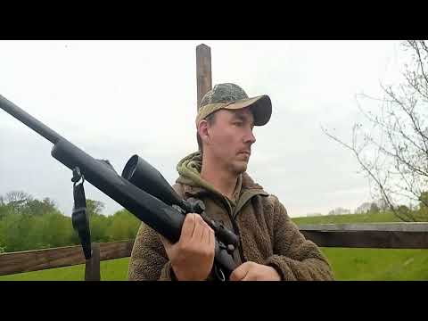 Rehwildansitz im April. Die Bockjagd steht bevor.