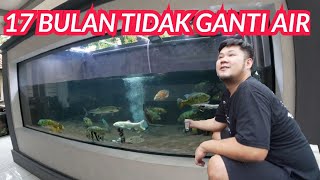 MEGATANK IKAN PREDATOR 17 BULAN TERLANTAR TIDAK ADA PERGANTIAN AIR ATAU WATER CHANGE
