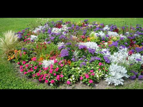 A HIDDEN TREASURE IN BUDAPEST HUNGARY THE  CITADELLA FLOWER GARDEN IN 4K