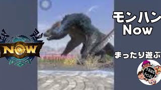 モンハンNOWを2人でまったりと遊ぶ！9（はる視点）