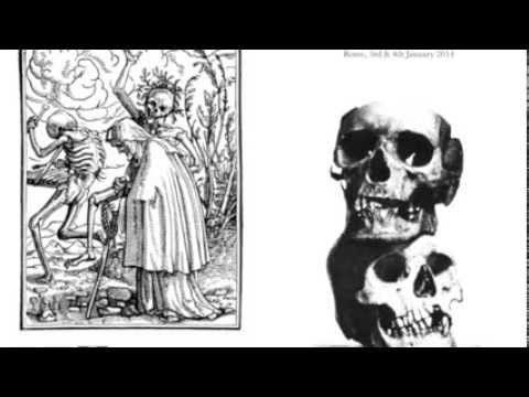 SSHE RETINA STIMULANTS Plays The Sodality