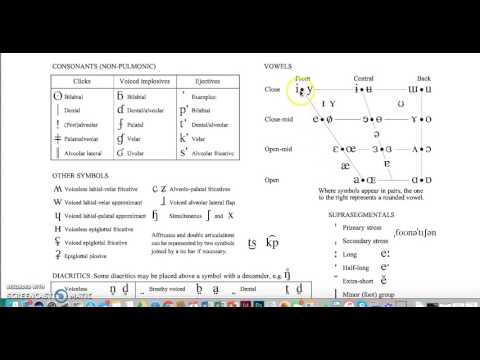 Overview of the IPA Chart (Vowels)