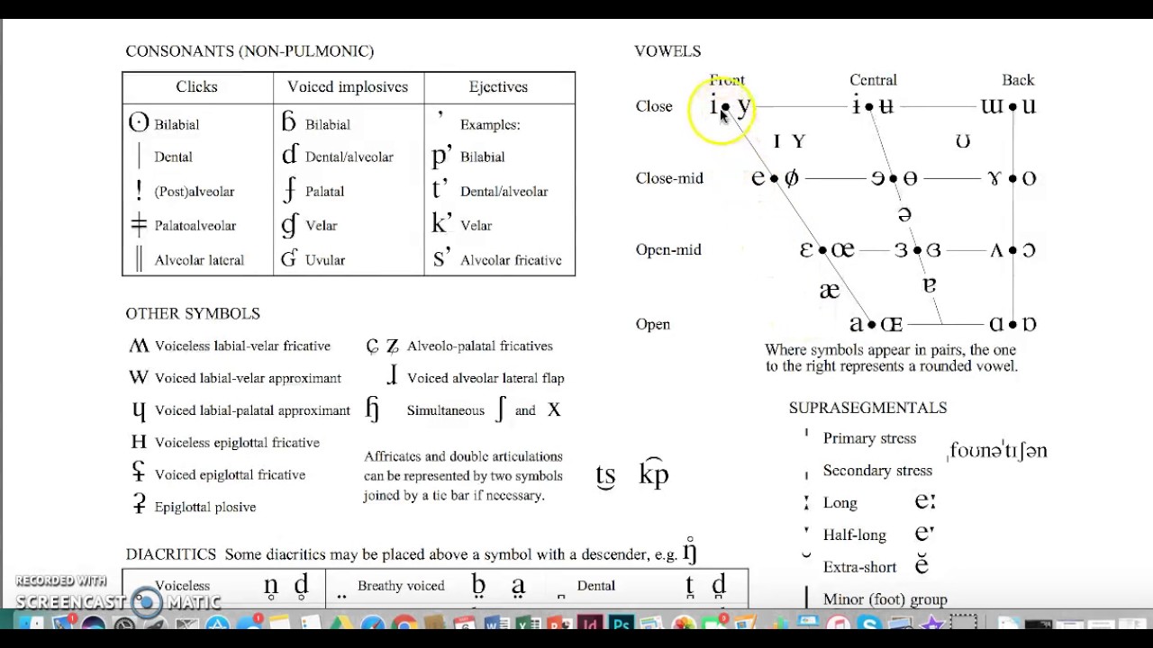 Overview of the IPA Chart (Vowels)