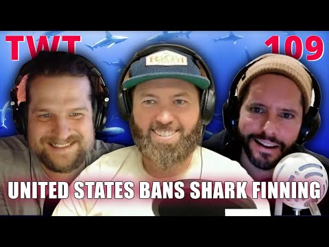 United States Bans Shark Finning - The Wild Times Ep. 109