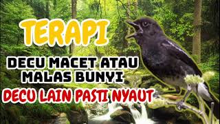 Download lagu SUARA BURUNG DECU GACOR || TERAPI DECU MACET BUNYI mp3