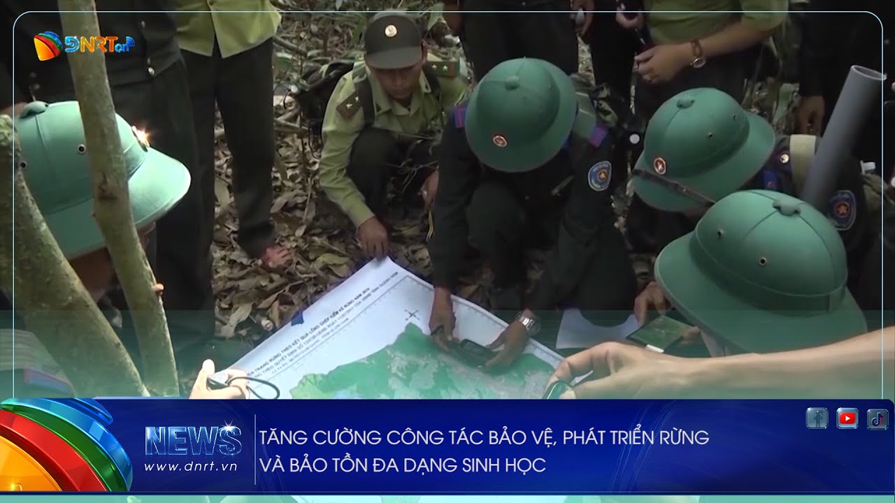 TĂNG CƯỜNG CÔNG TÁC BẢO VỆ, PHÁT TRIỂN RỪNG VÀ BẢO TỒN ĐA DẠNG SINH HỌC