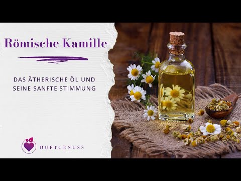 Römische Kamille - Das ätherische Öl und seine sanfte Stimmung