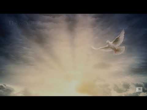 Molitva bl. Alojzija Stepinca za sedam darova Duha Svetoga