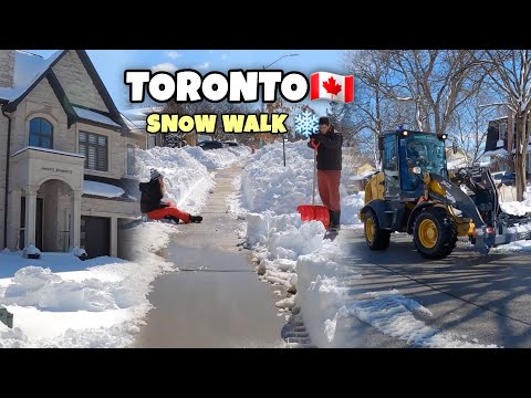 Toronto Winter Snow Walk, Canada