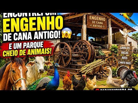 Casarão Na Beira Da Rodovia Da BR 060 Próximo A Cezarina Go   