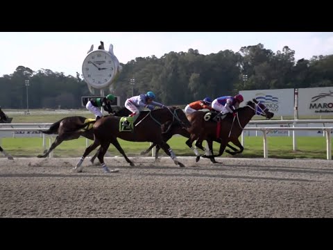 MOURINHO CRITERIUM POTRILLOS