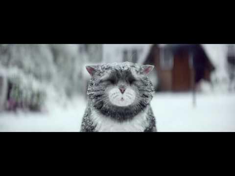 FRAMESTORE x SAINSBURY