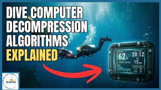 Dive Computer Algorithms: Risk, Math & Reality Explained /[Buhlmann/RGBM/DSAT/Pelagic Z+]