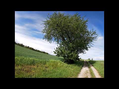 Mammutmarsch Around the World 2.0 2021