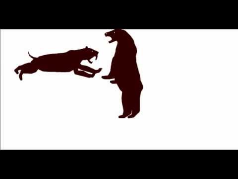 Cretaceous Fight Arena Smilodon Popolator VS Short Faced Bear
